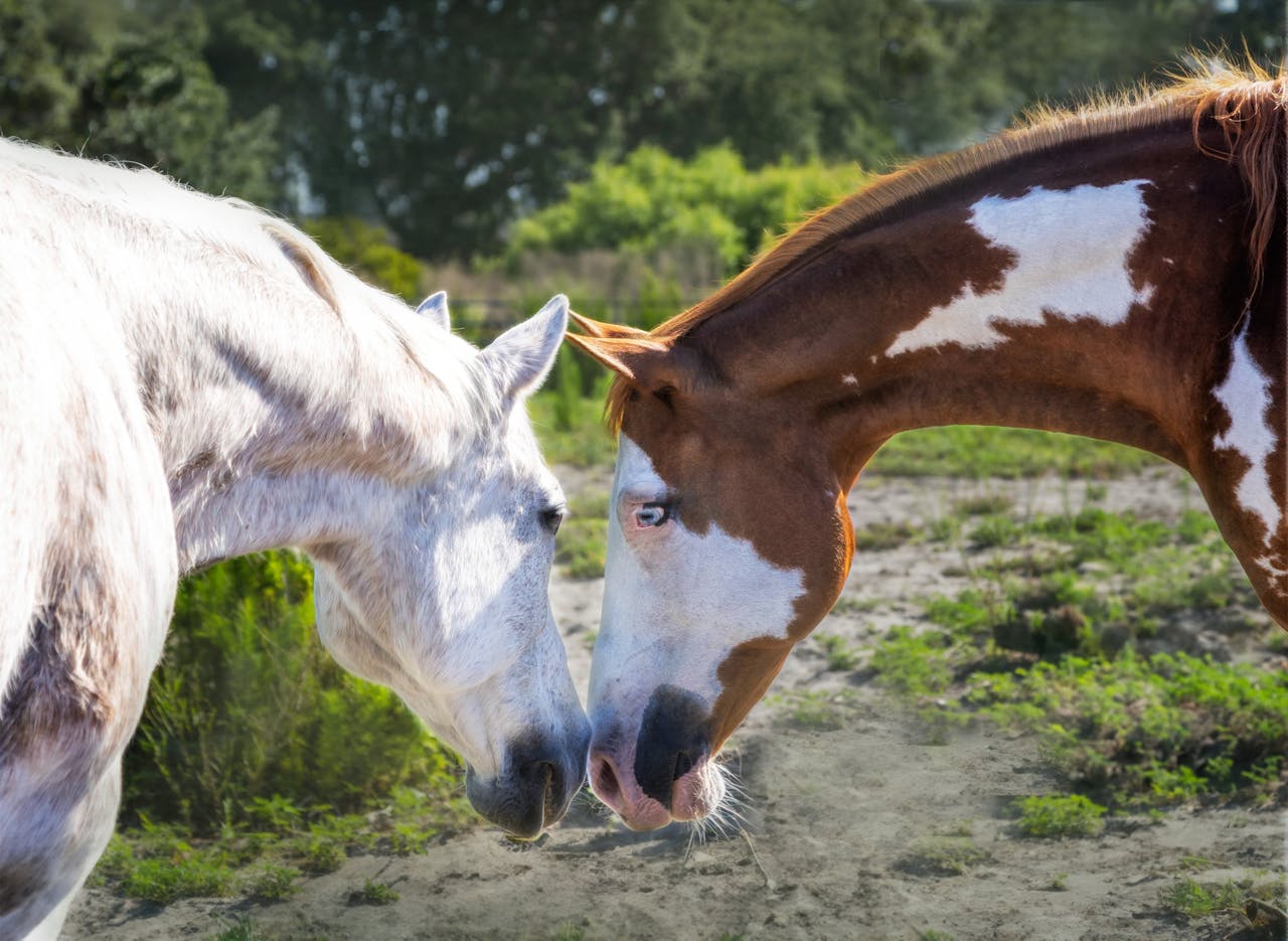 Crafting Captivating Headlines: Your awesome post title goes here
